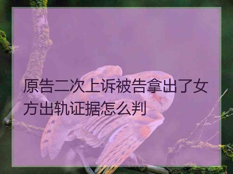 上海出轨调查【中午的丈夫出轨？】出轨什么执